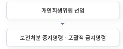 개인회생 신청 자격, 비용, 절차