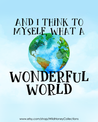 what a wonderdul world poster