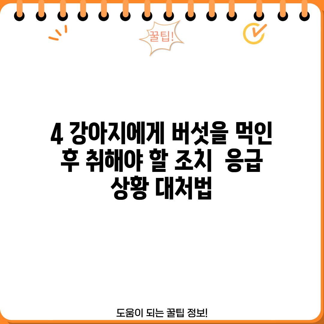 4. 강아지에게 버섯을 먹인 후 취해야 할 조치:  응급 상황 대처법