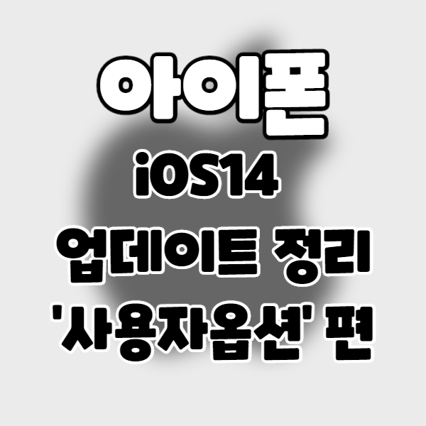  iphone/iOS14] 아이폰 업데이트 정리 5. 사용자 옵션 편.