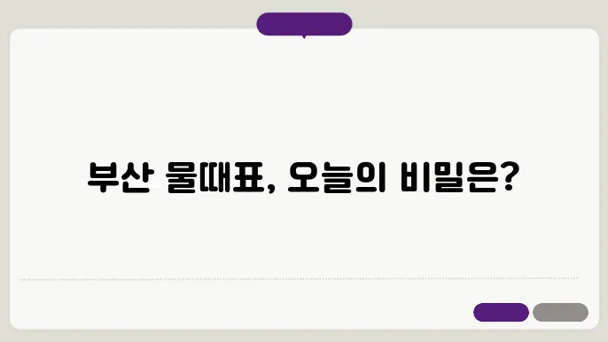 부산 물때표 확인하기