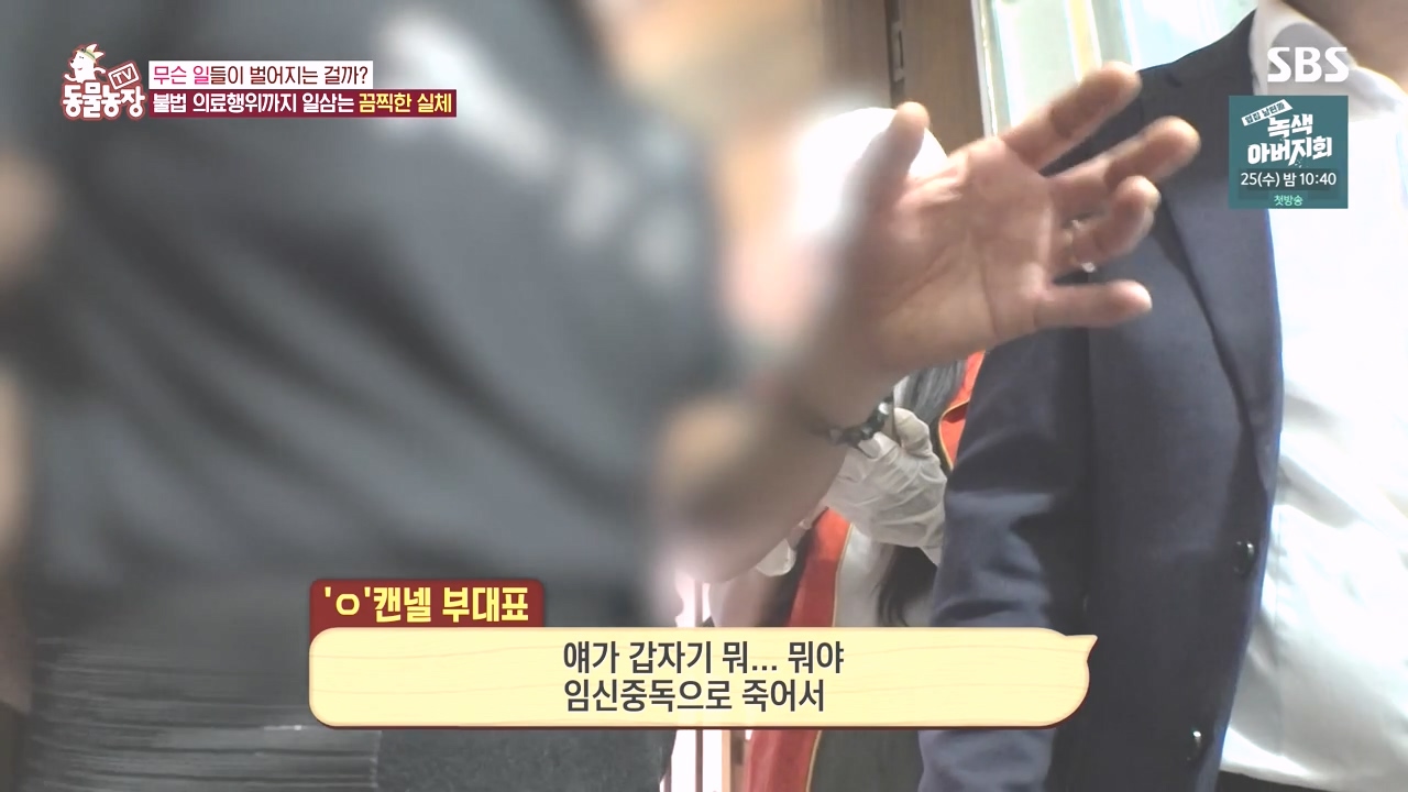 TV 동물농장.E1142.231023p-NEXT.mp4_20231022_172251.048.jpg