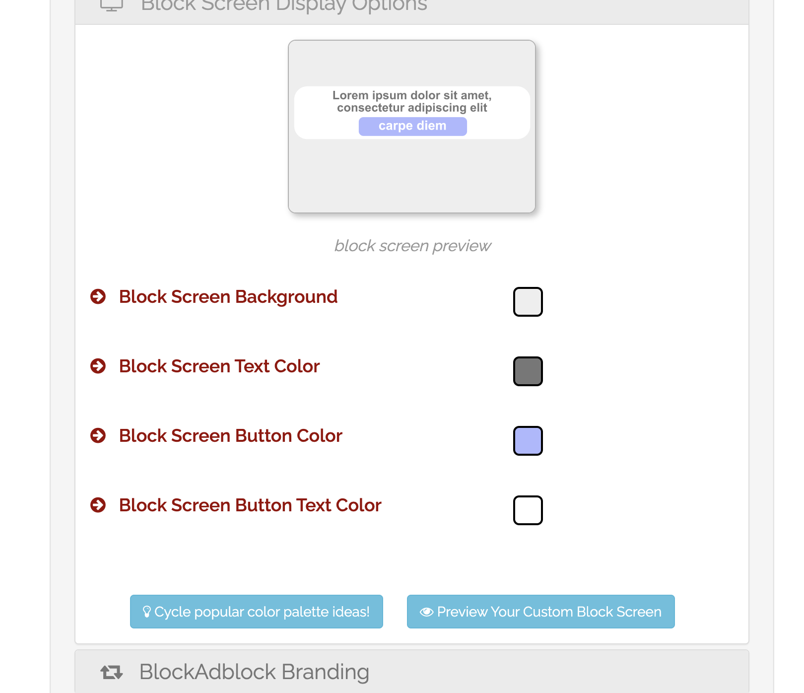 Block Screen Display Option