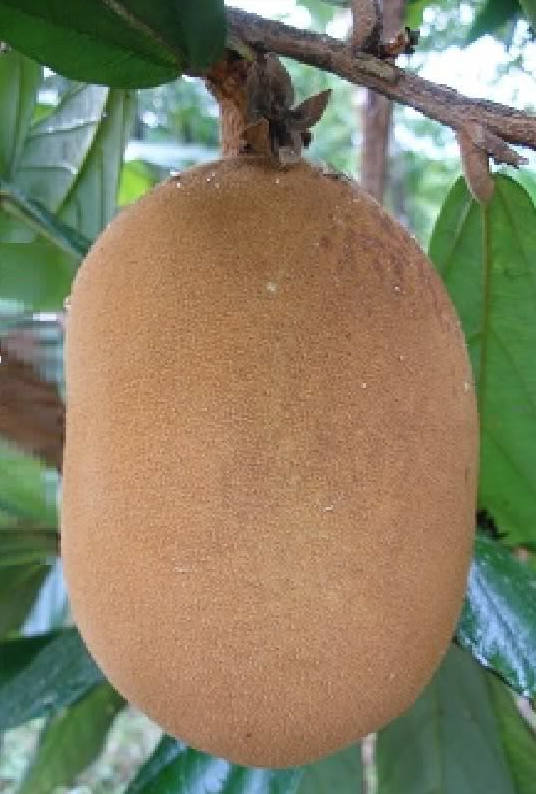 img.jpg