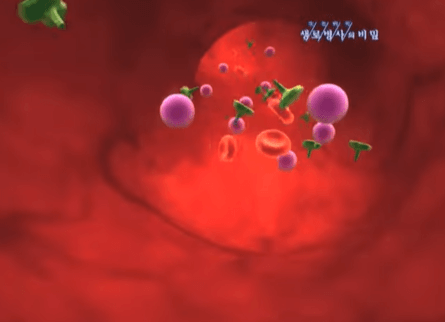 당뇨병 발생 원인