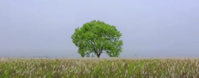 법률상 인정됩니다. 유언장 작성 이렇게 하면... 7