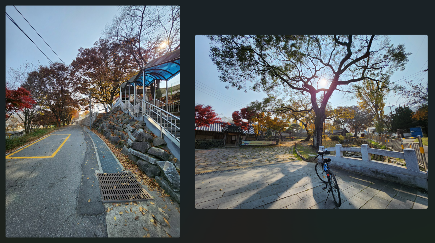 금곡초등학교맹씨행단