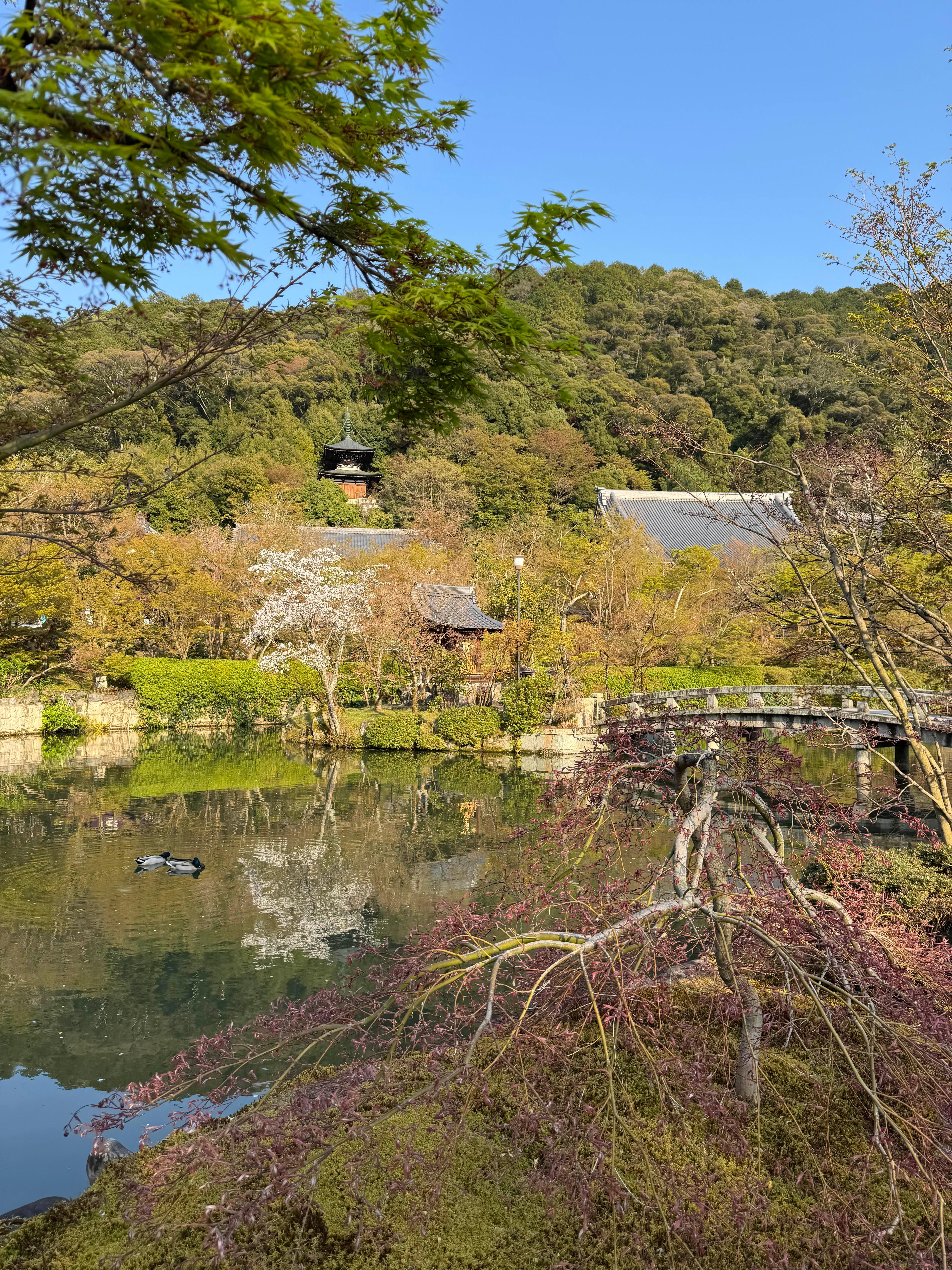 [일본 교토] 교토 젠린지 에이칸도(禅林寺), 난젠지(南禅寺) 그리고 난젠지 수로각