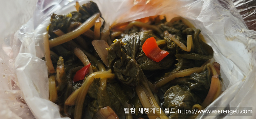  쌉싸름 짭잘한 봄나물 머위 장아찌 만들기