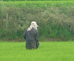 비 맞는 꿈 비 오는 꿈 폭우 홍수 비옷 비바람