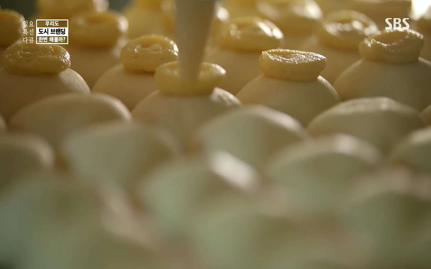 일요 특선 다큐멘터리.E287.220911p.H264-F1RST.mp4_20220912_135100.372.jpg