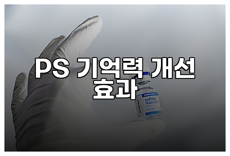 PS 기억력 개선 효과