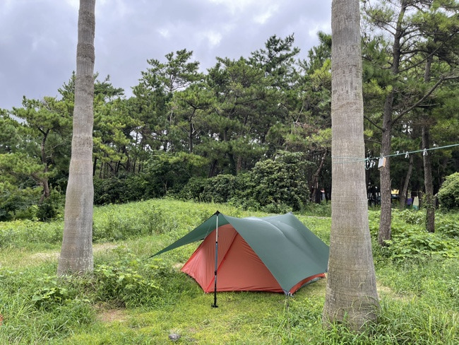 나지금제주 이미지