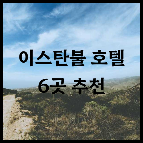 시티 나이트 스위츠부터 셀렉툼 시티까