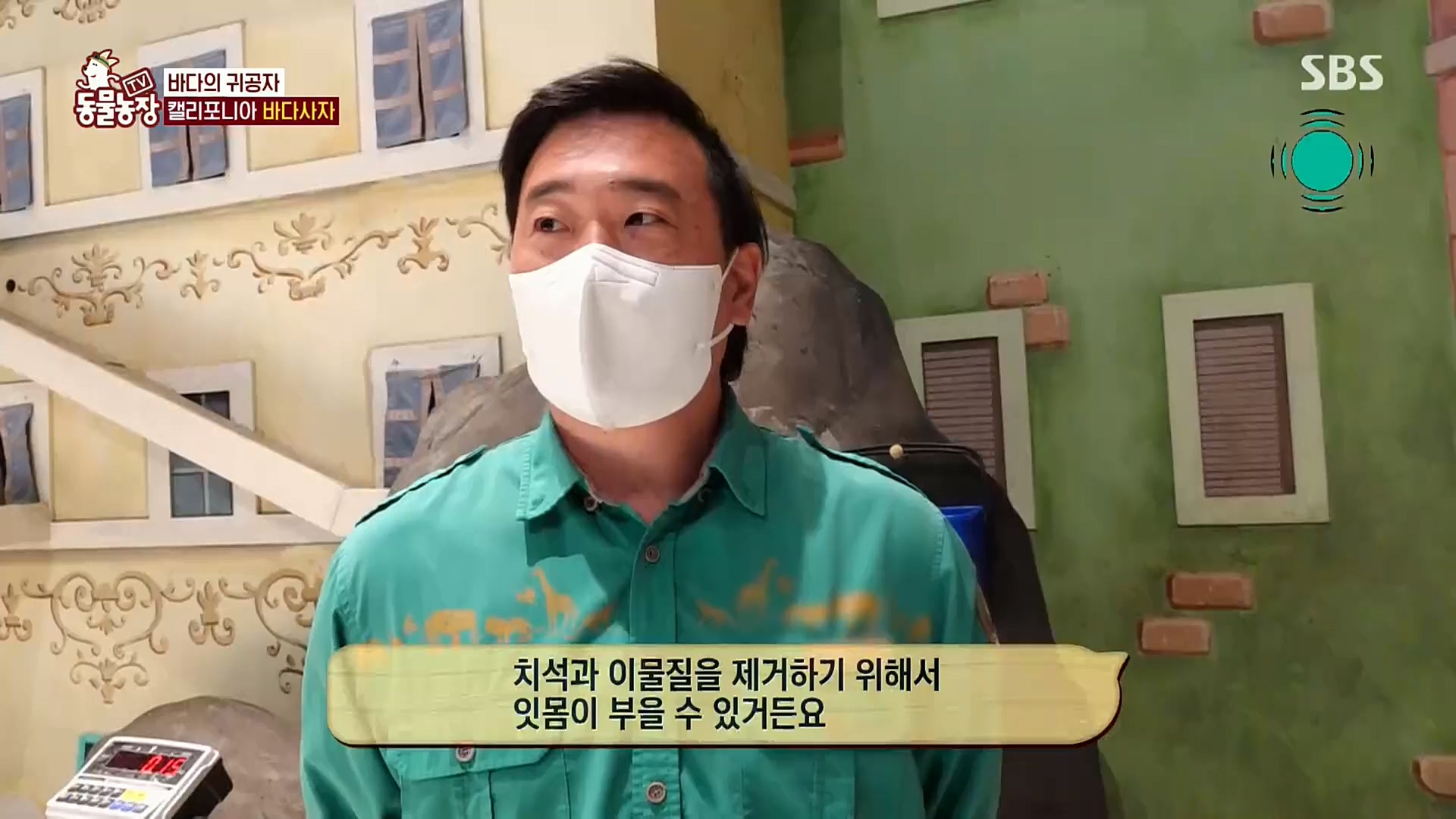 TV 동물농장.E1092.221023p.H264-F1RST.mp4_20221023_182732.340.jpg
