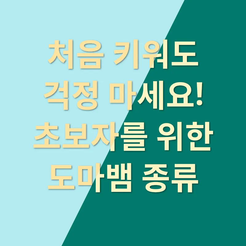 도마뱀 키우기_1