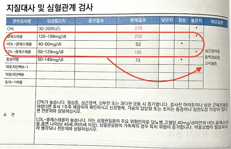 건강건진 콜레스테롤 수치