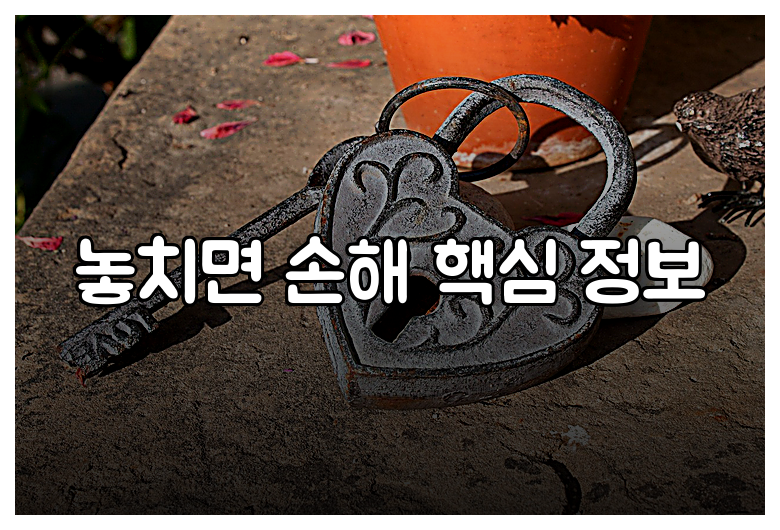 놓치면 손해 핵심 정보