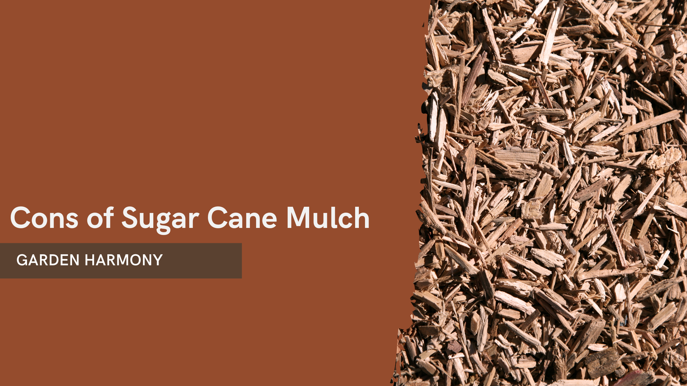 Cons of Sugar Cane Mulch
