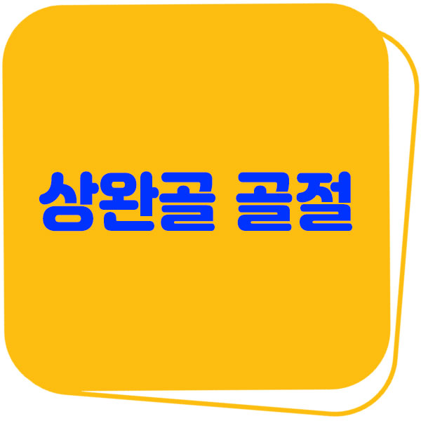 상완골 골절 원인 증상 진단 및 치료