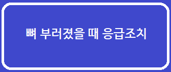 뼈 부러졌을 때 응급조치