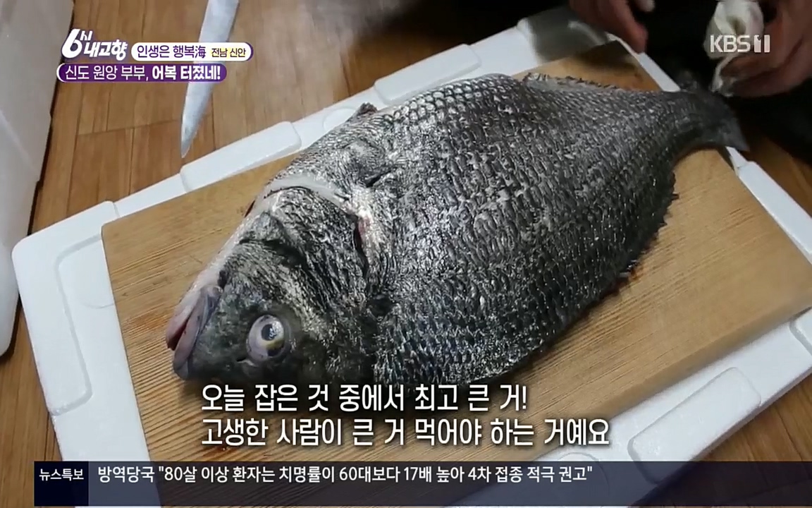 6시 내고향.E7518.220426p.H264-F1RST.mp4_20220504_192505.428.jpg
