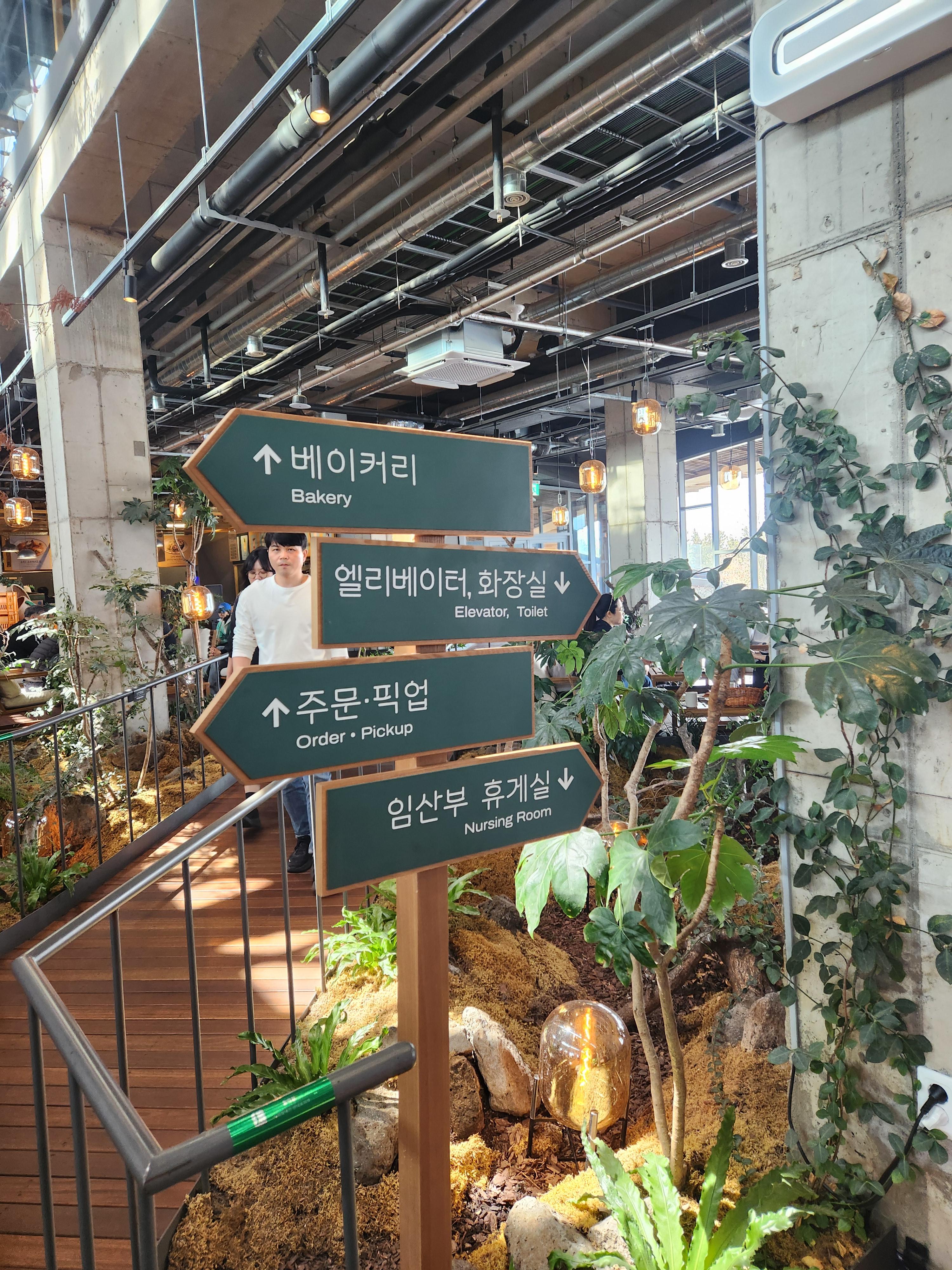 제주당 이미지