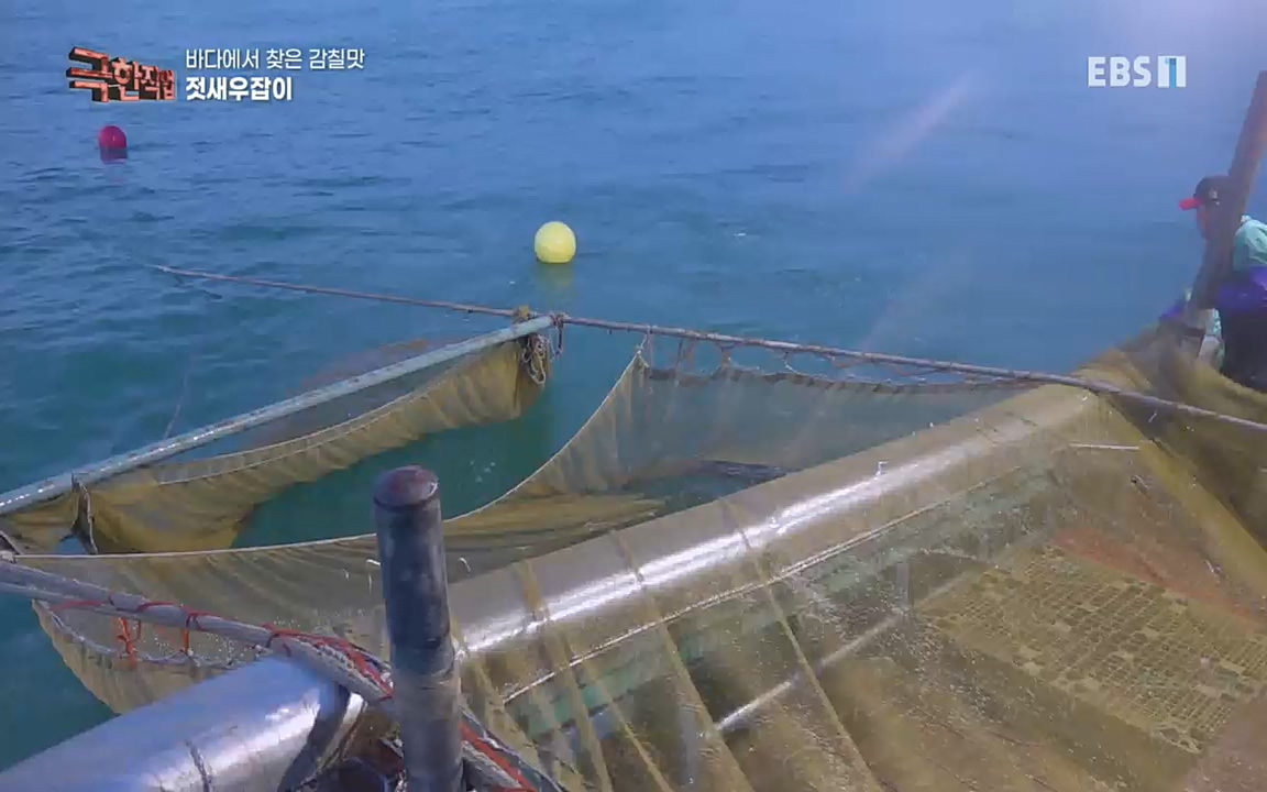 TV - 교육의 중심 EBS바다에서 찾은 감칠맛 새우젓과 다시마.mp4_20220717_175006.137.jpg