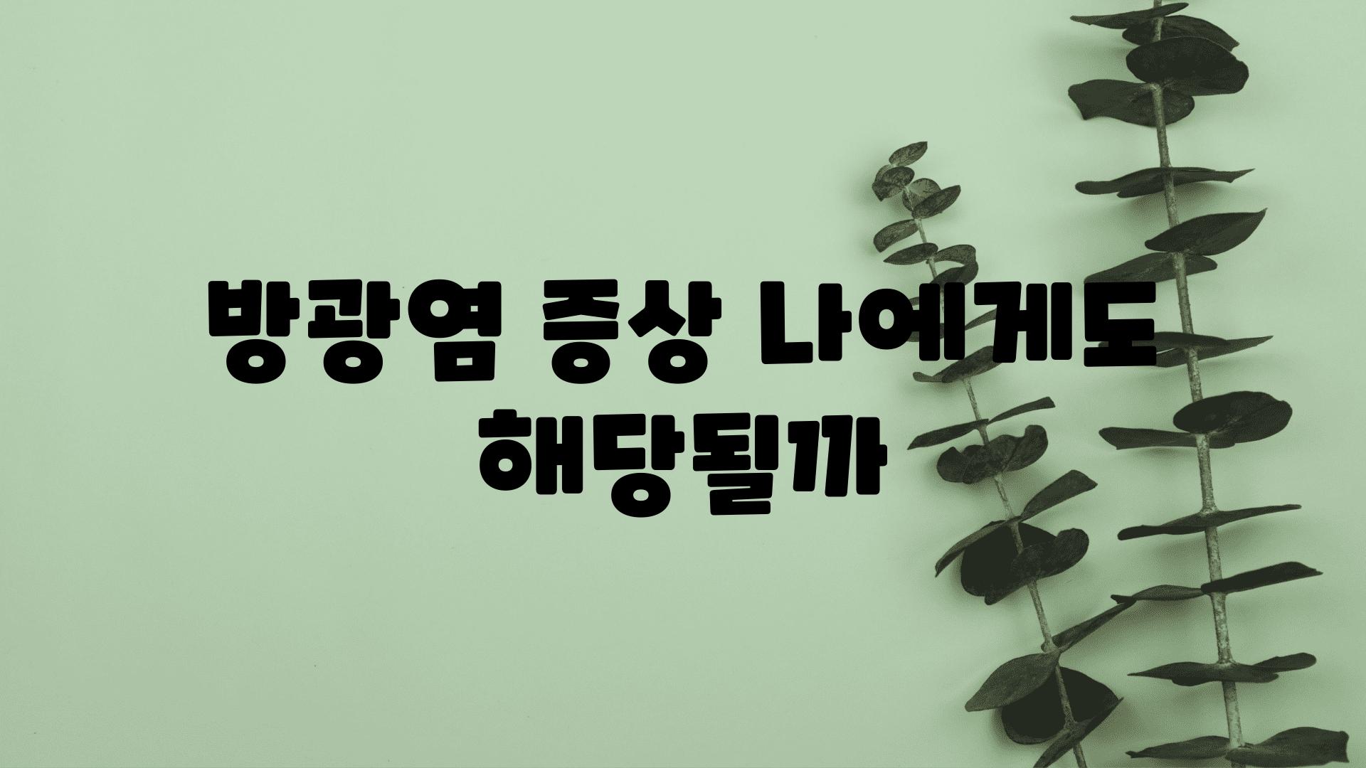 방광염 증상 나에게도 해당될까