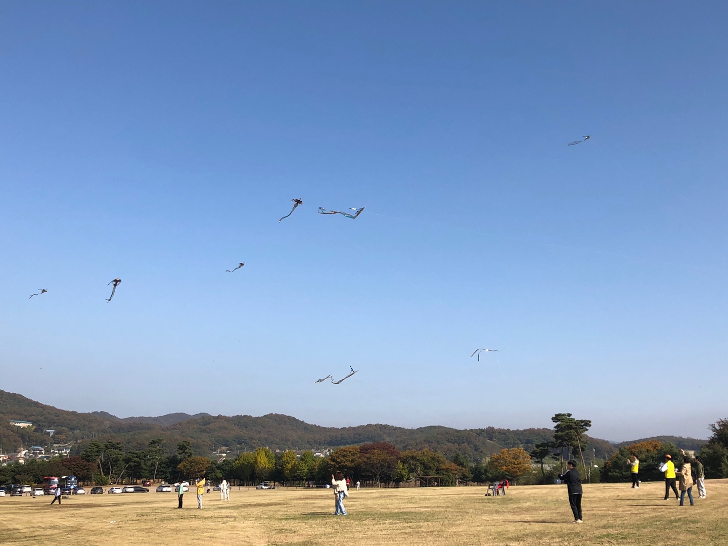 토끼노래광장 이미지