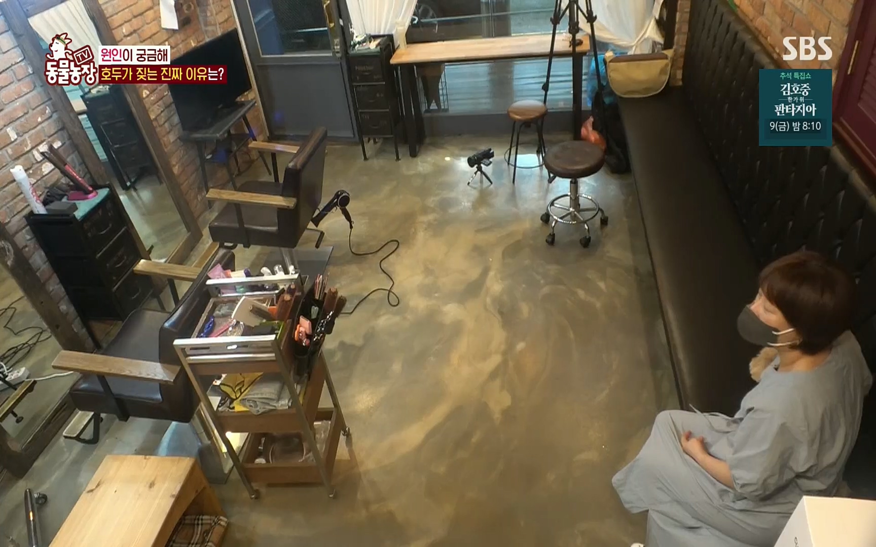 TV 동물농장.E1084.220828p.H264-F1RST.mp4_20220828_154042.993.jpg