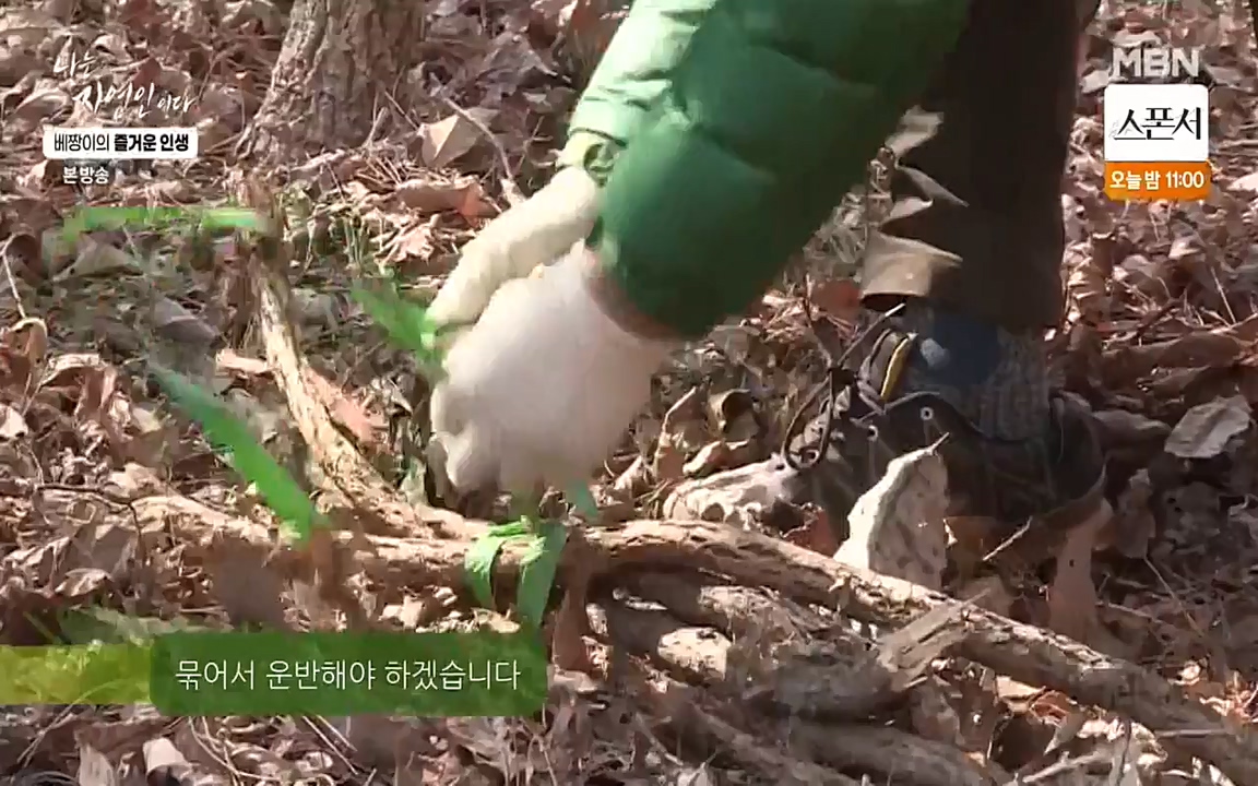 나는 자연인이다.E495.220331p-NEXT.mp4_20220331_174348.856.jpg