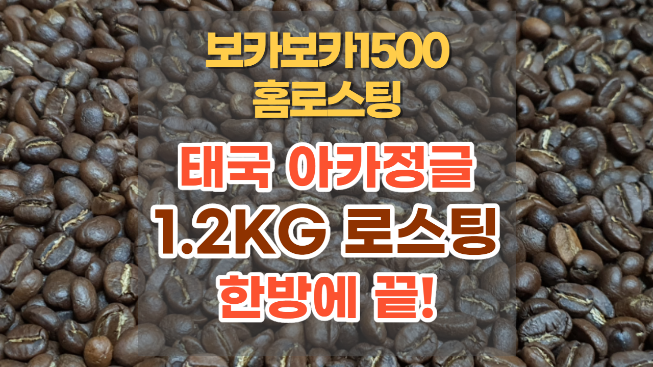  [홈로스팅 보카보카1500] 태국 아카정글 1.2kg 한방에 로스팅 해보기