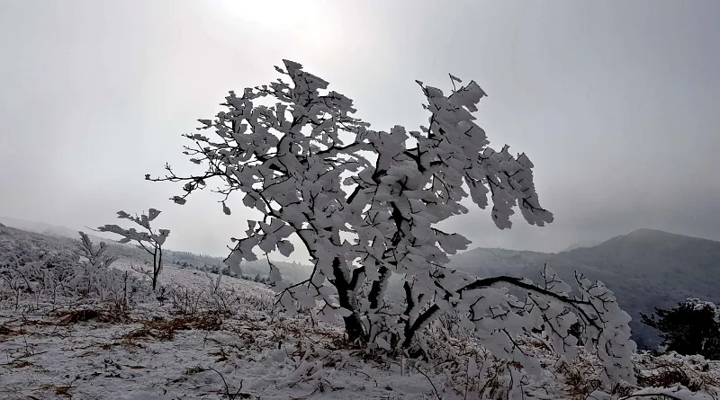 소백산 설경