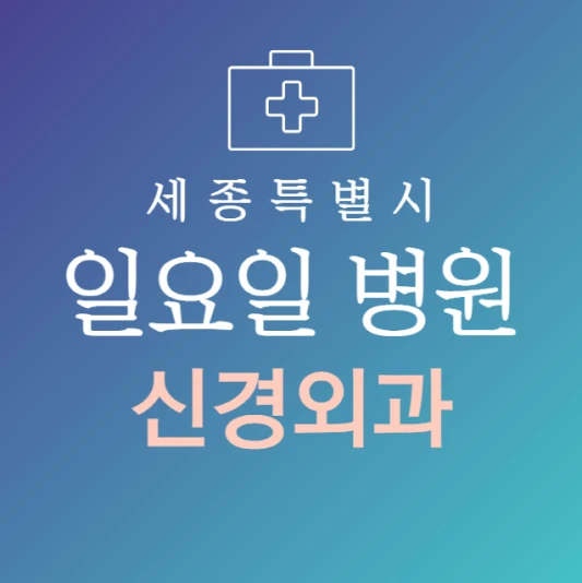 세종시-일요일-신경외과-문여는곳-주말에-진료하는-세종시-24시간-신경외과-병원