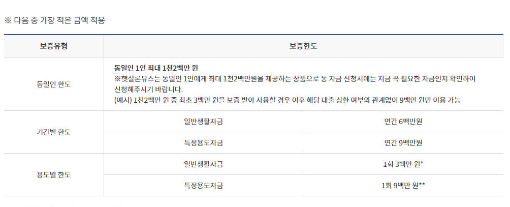 보증 유형 및 보증 한도 사진