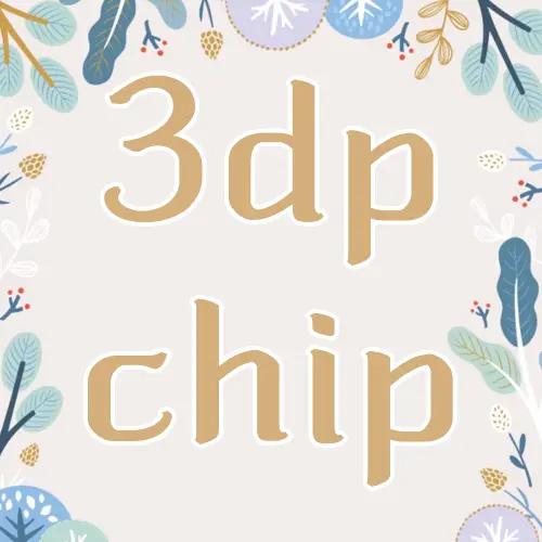 3dp chip