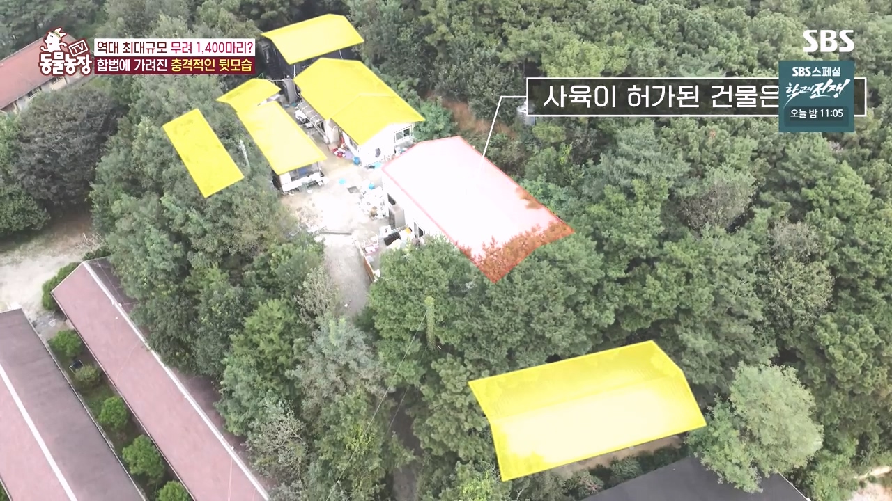 TV 동물농장.E1142.231023p-NEXT.mp4_20231022_172201.397.jpg
