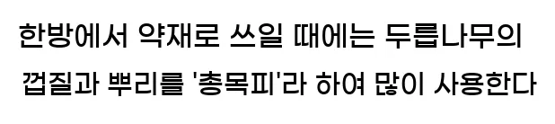  한방에서 약재로 쓰일 때에는 두릅나무의 껍질과 뿌리를 '총목피'라 하여 많이 사용한다