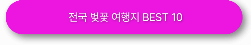전국 벚꽃 여행지 BEST 10