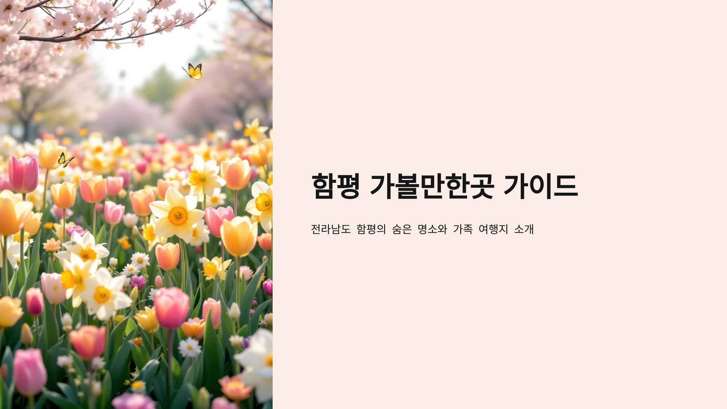 함평 가볼만한곳 베스트10