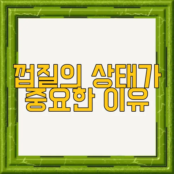 img.webp