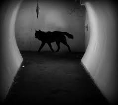  SCP - 023 검은 마견