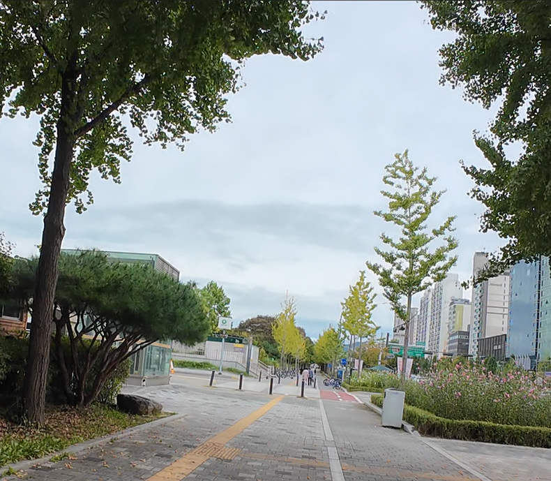 Alt 속성 문제 해결 설명 이미지