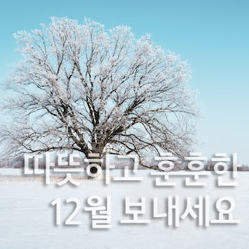 12월 인사말 이미지 문구
