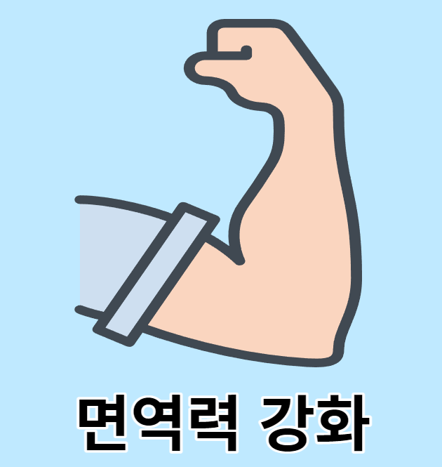 마늘종의 효능 9가지 면역력 강화