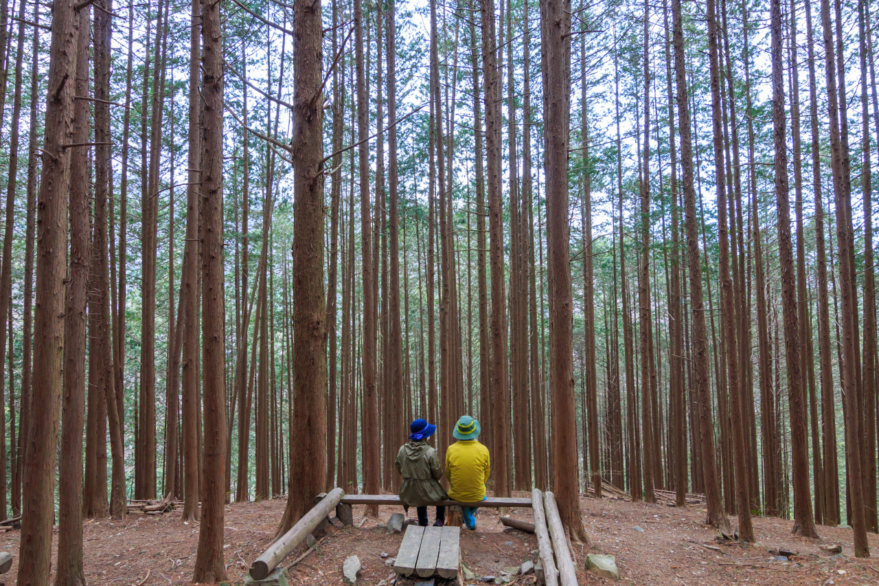 완산(완주) 이미지