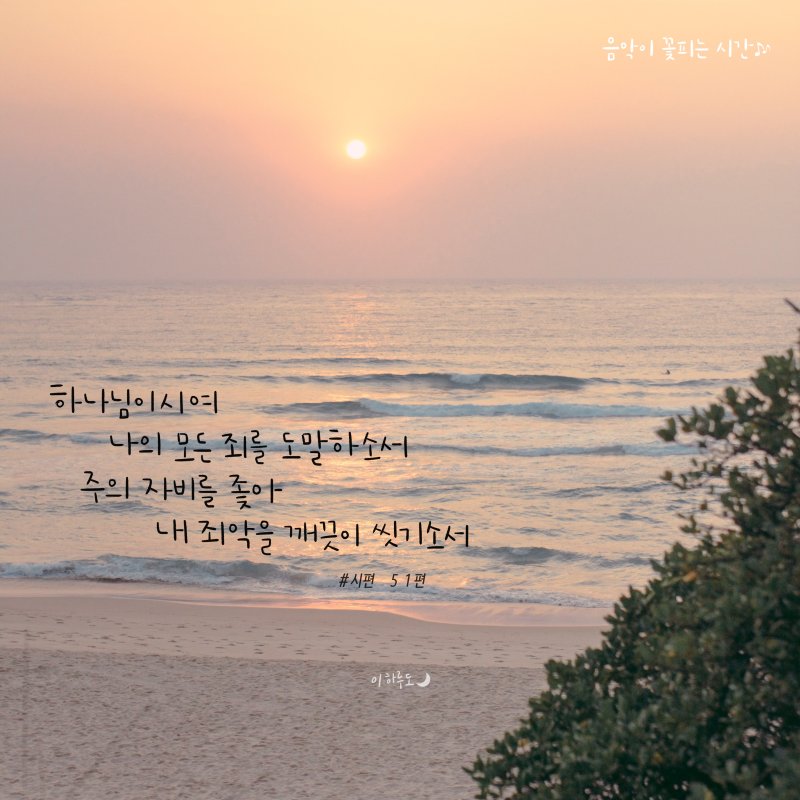 꽃이피는시간 이미지