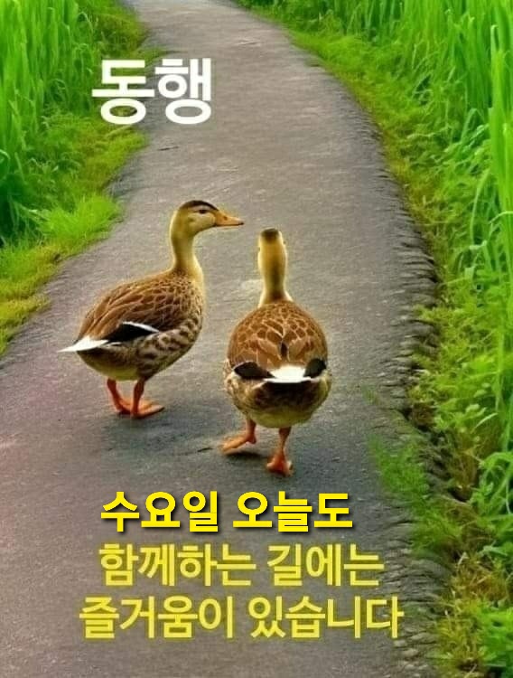 사 랑