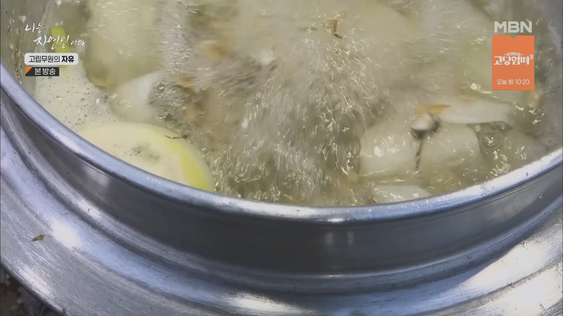 나는 자연인이다.E549.230412p.H264-F1RST.mp4_20230413_213203.877.jpg